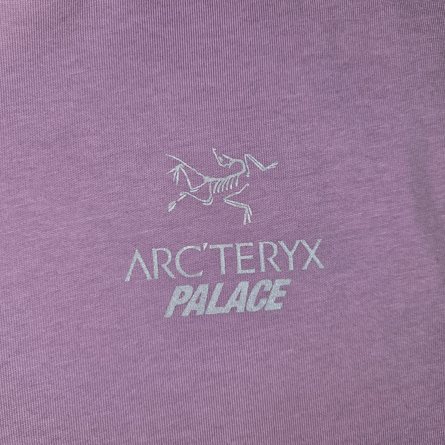 Palace x Arc'teryx Lilac Tee - L