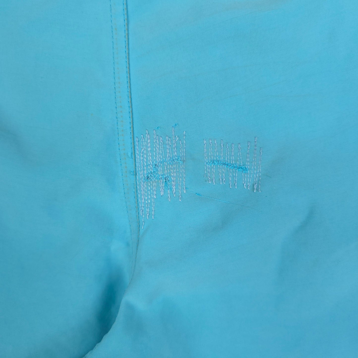 Y2K Nike Board Shorts - 34
