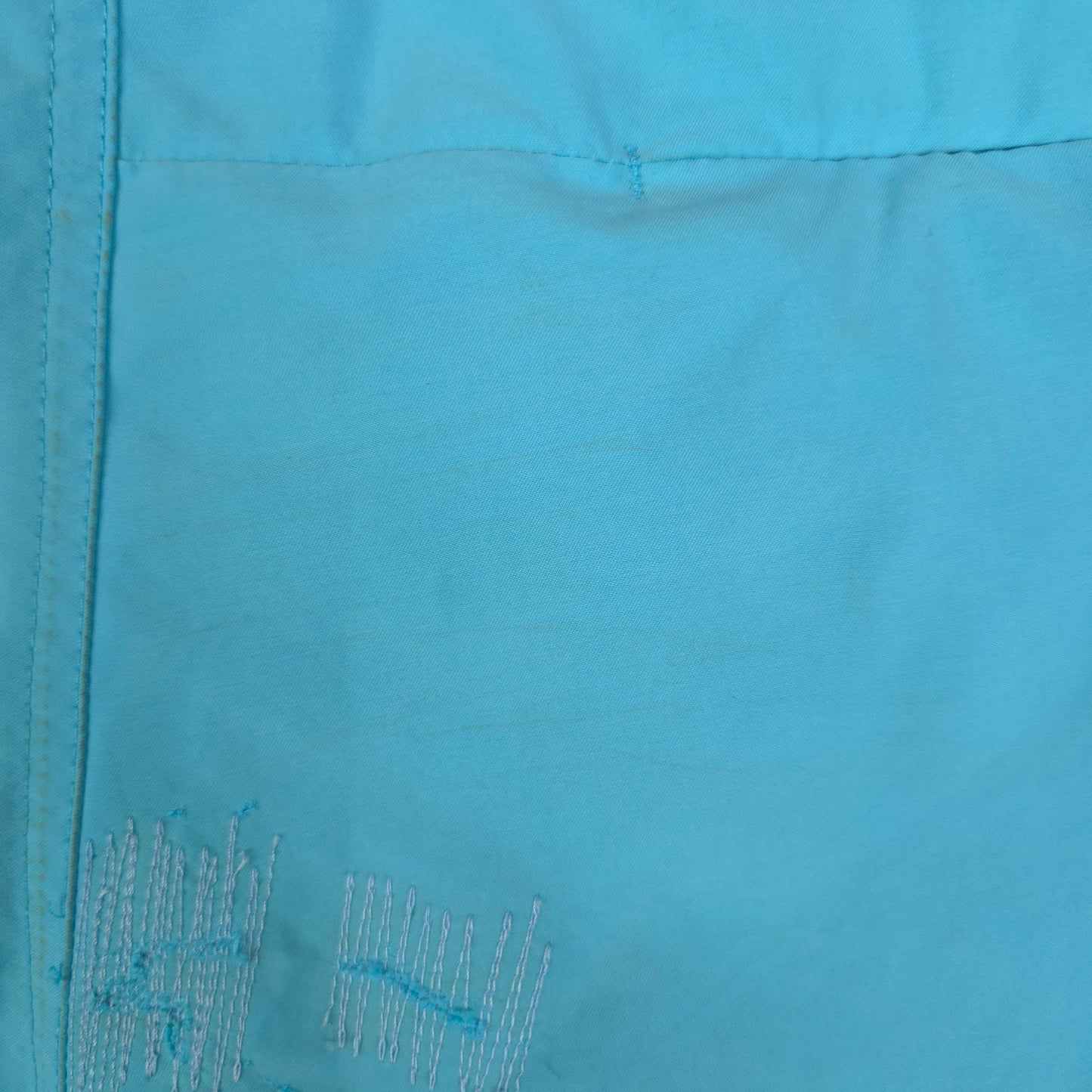 Y2K Nike Board Shorts - 34