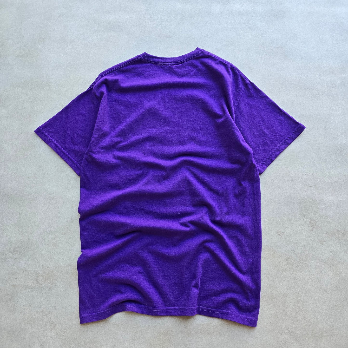 Y2K Monument Valley Horse Tee - S/M