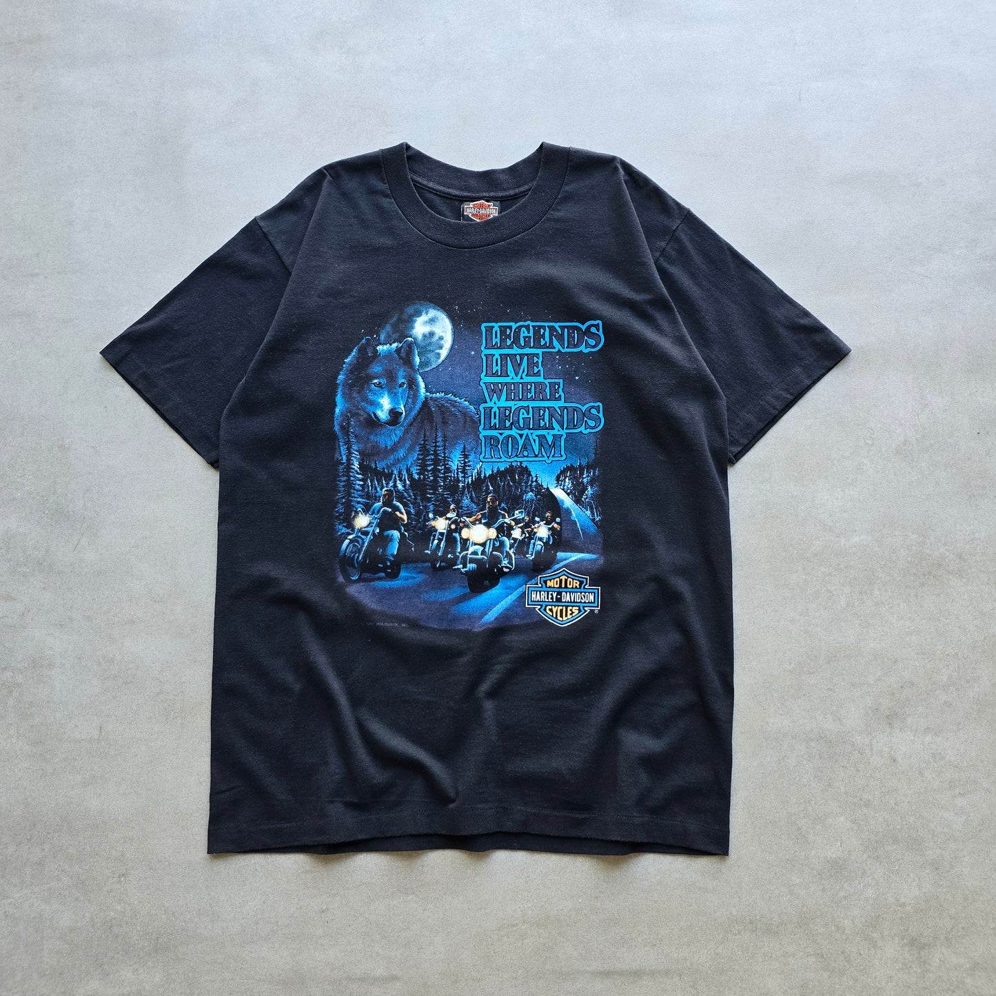 RARE Vintage 1991 Harley Davidson Legends Live Tee - L