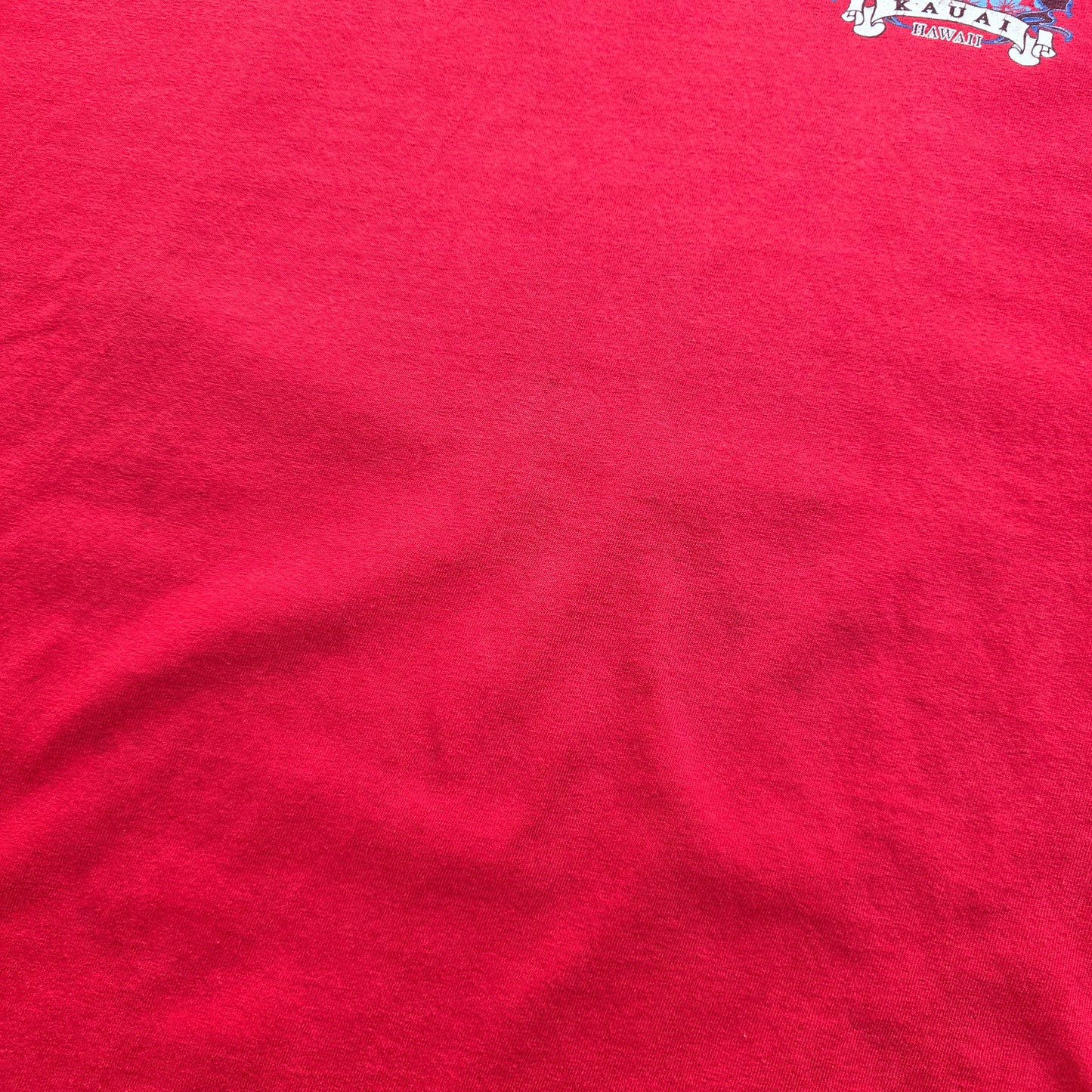 Vintage Harley Davidson Hawaii Faded Tee - XL/2XL
