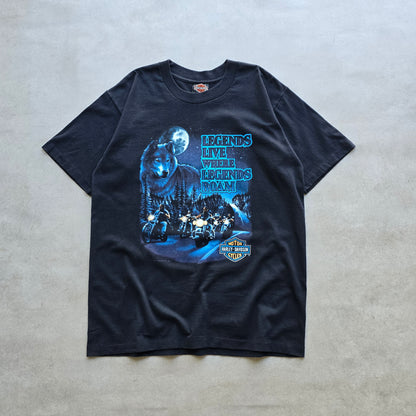 RARE Vintage 1991 Harley Davidson Legends Live Tee - L