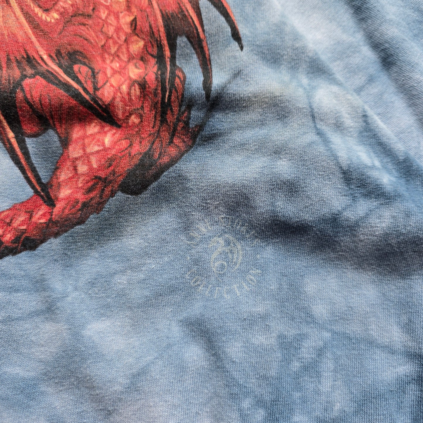 The Mountain Anne Stokes Tee - L