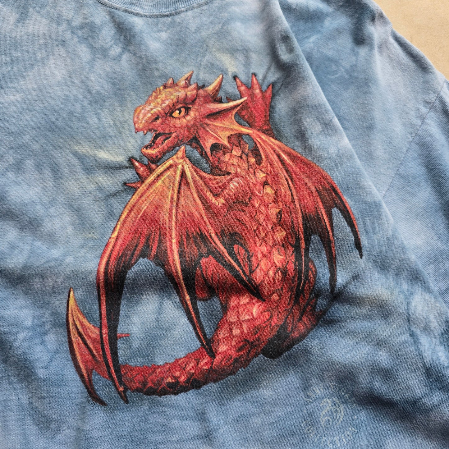 The Mountain Anne Stokes Tee - L