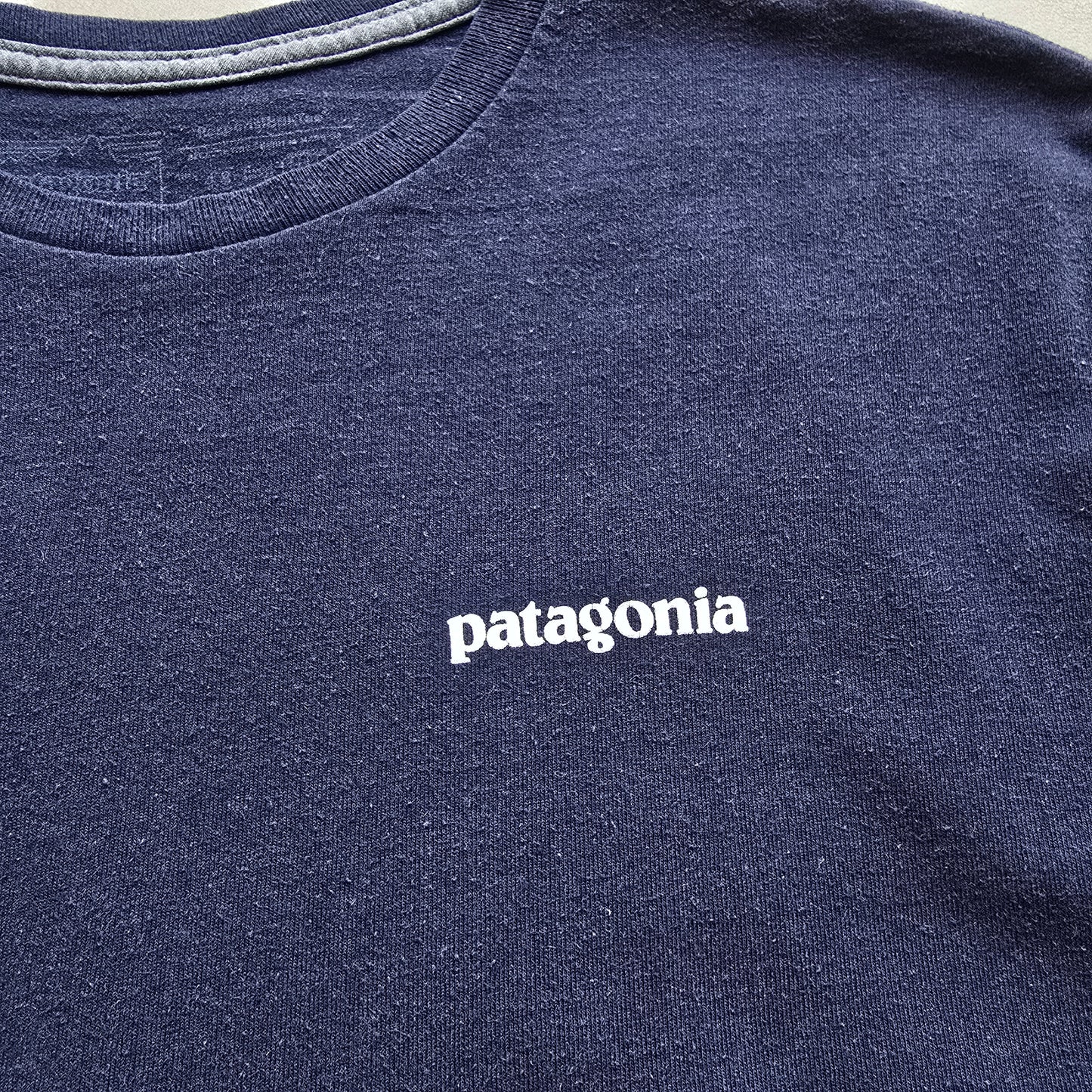 Patagonia Tee - L