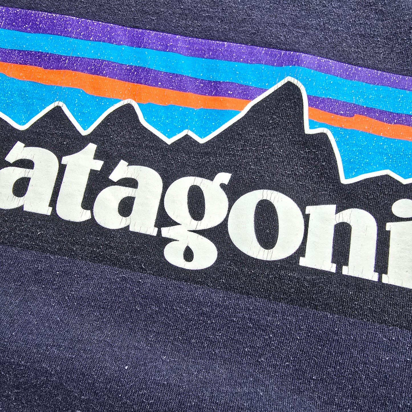 Patagonia Tee - L