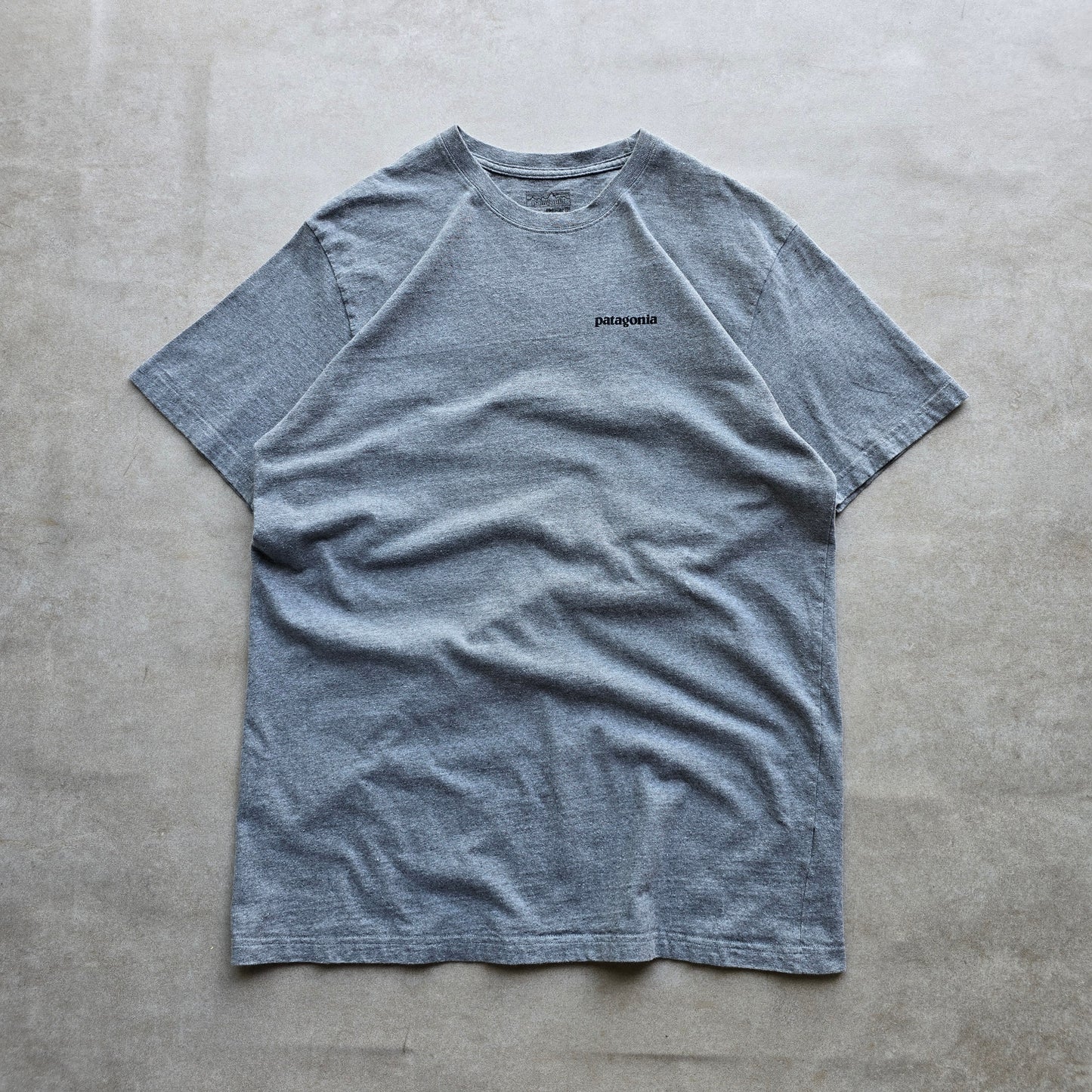 Patagonia Tee - L