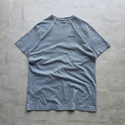 Patagonia Tee - L