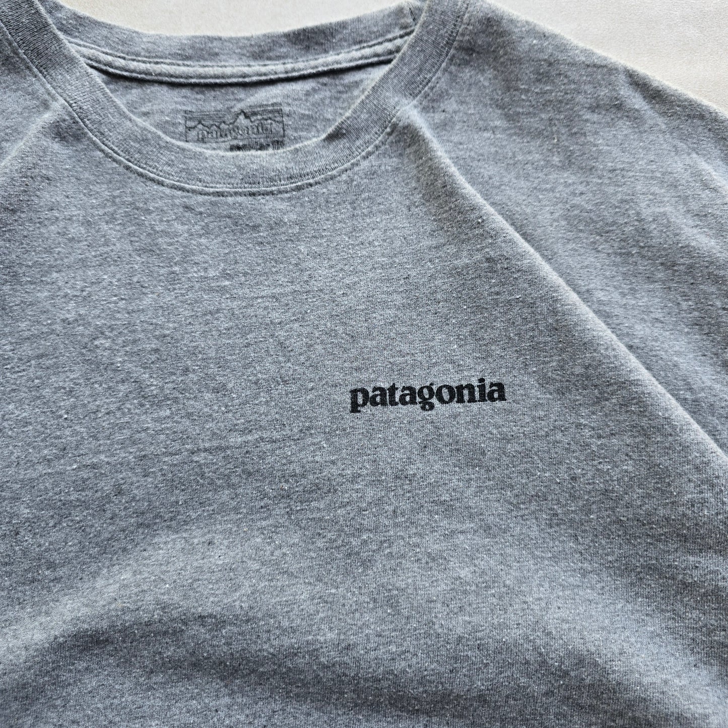 Patagonia Tee - L