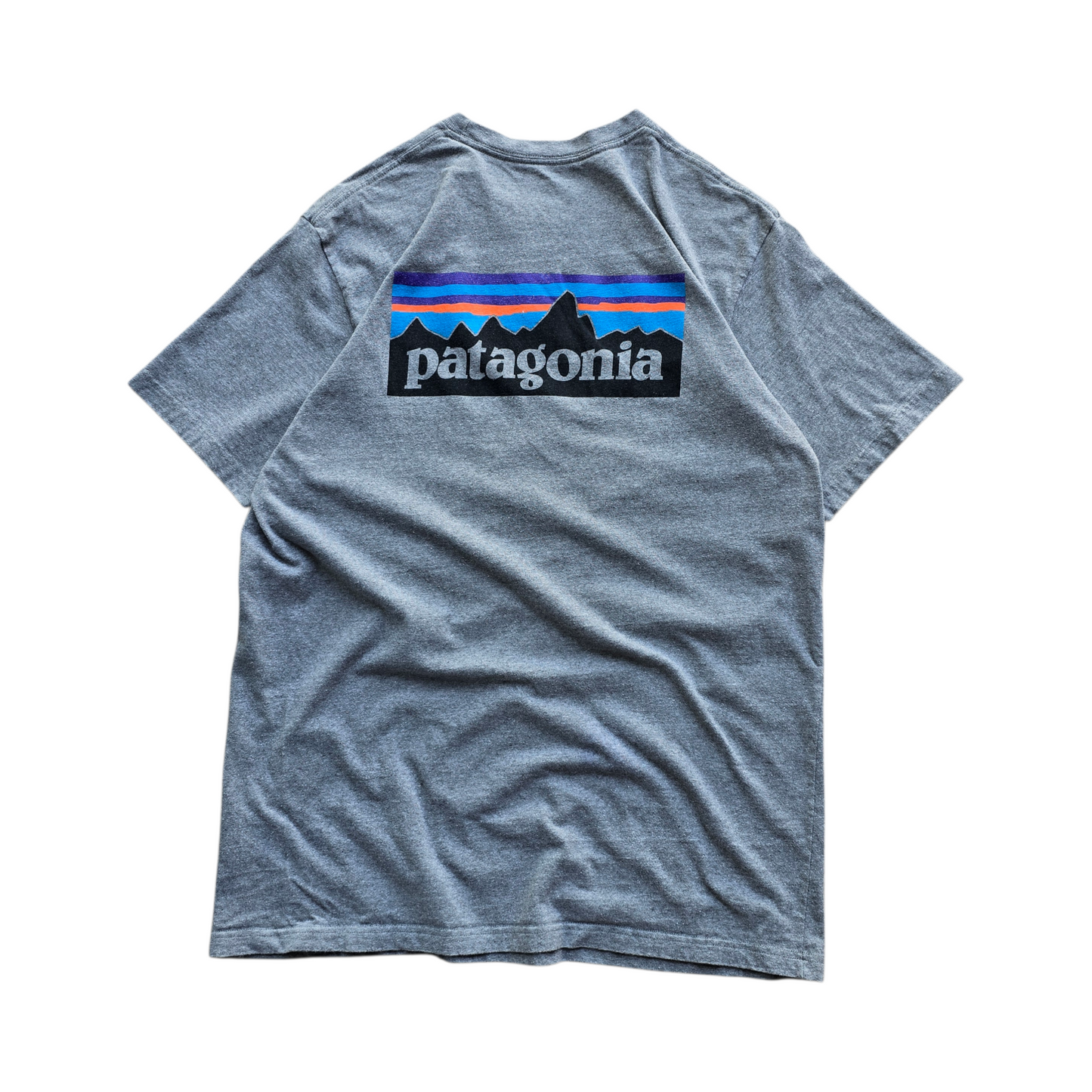 Patagonia Tee - L