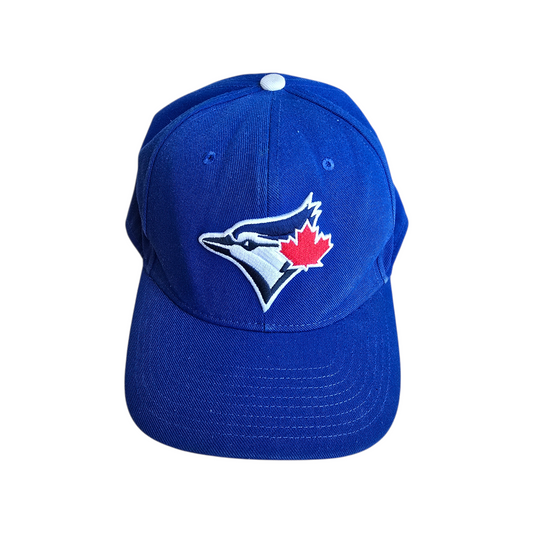 Nike Toronto Blue Jays Dri-Fit Hat