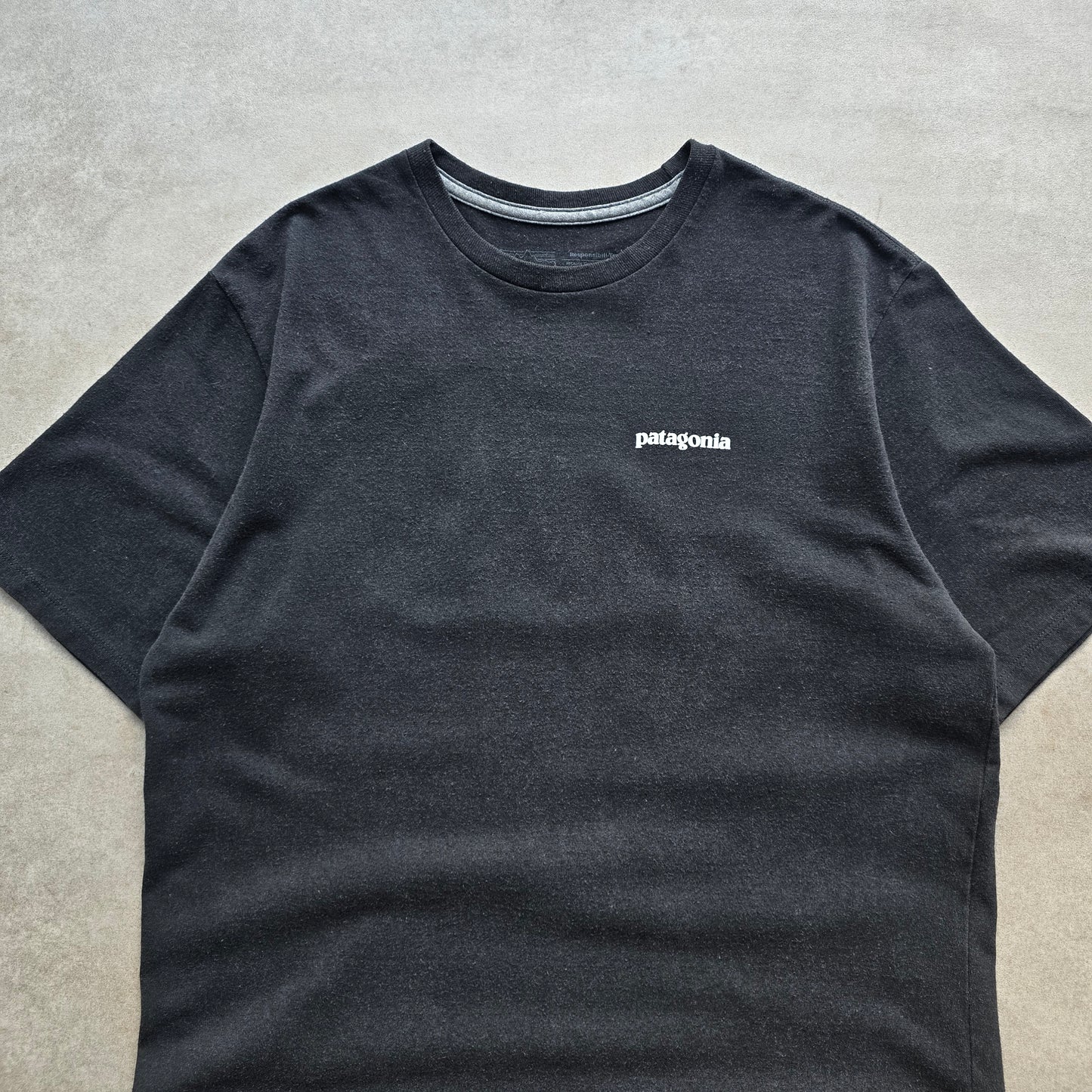 Patagonia Tee - S