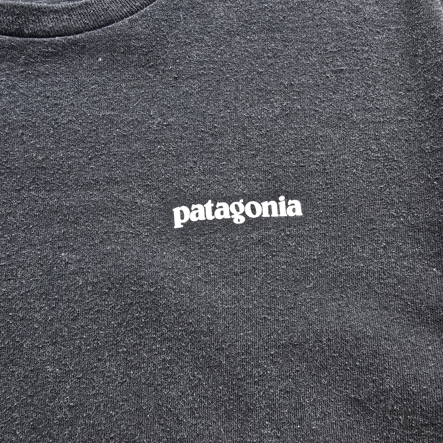 Patagonia Tee - S
