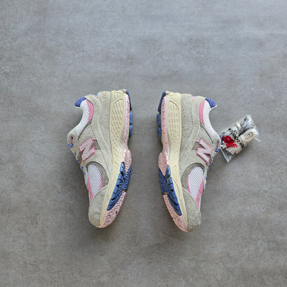 New Balance 2002R 'Hype DC Native Dynamics' - US11