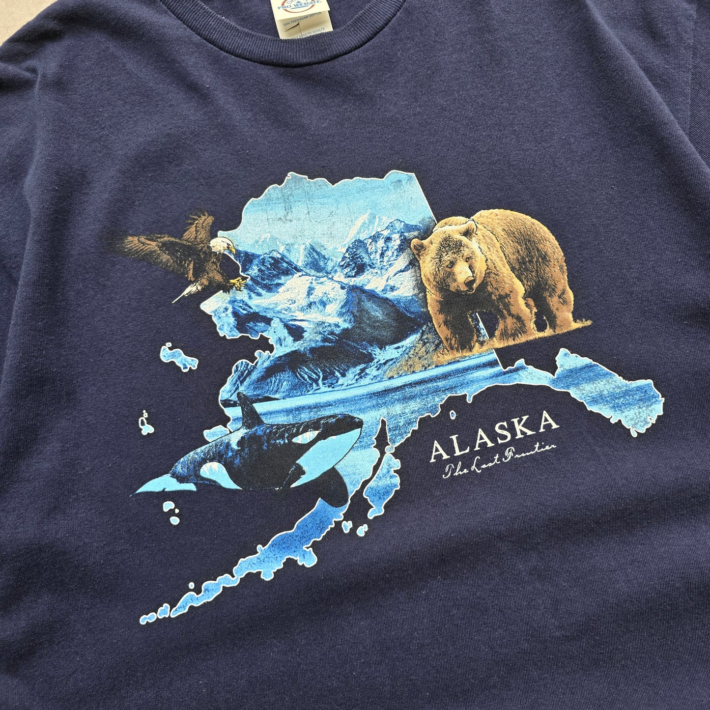 Vintage 2000's Alaska Tee - M