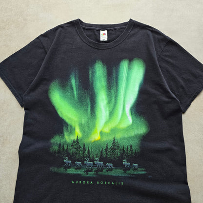Northern Lights Aurora Borealis Tee - M