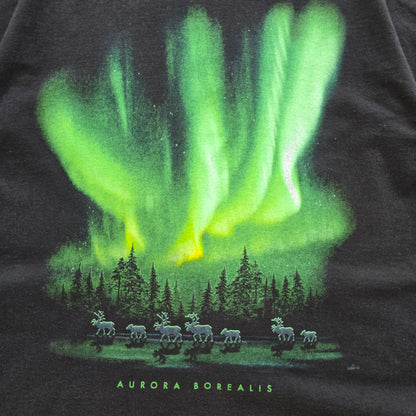 Northern Lights Aurora Borealis Tee - M