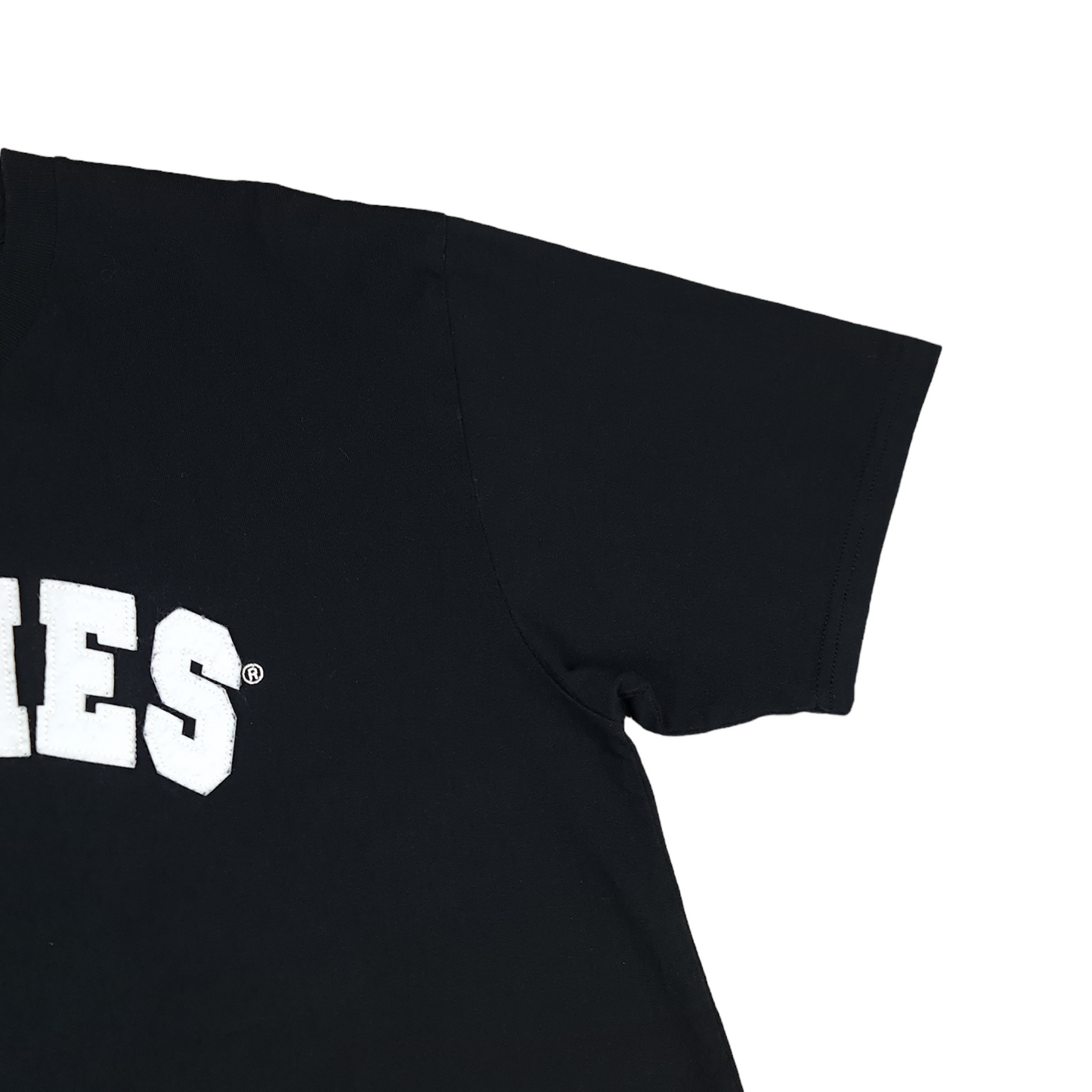 Dickies Arch Logo Tee - L/XL