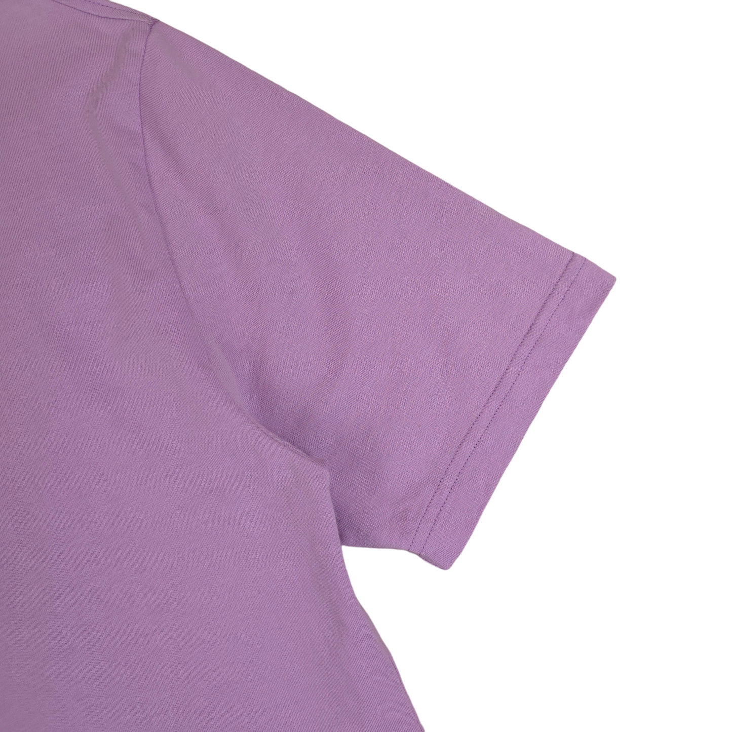 Palace x Arc'teryx Lilac Tee - L